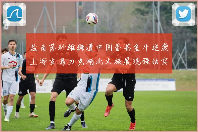 盐南苏科雄狮遭中国香港金牛逆袭上海玄鸟力克湖北文旅展现强劲实力