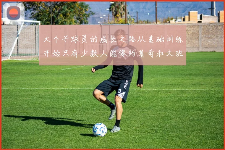 大个子球员的成长之路从基础训练开始只有少数人能像约基奇和文班那样成功