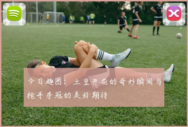 今日趣图：土豆开花的奇妙瞬间与枪手夺冠的美好期待